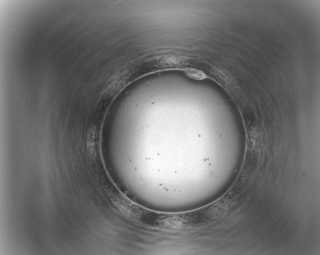 X0000057060423200509161457