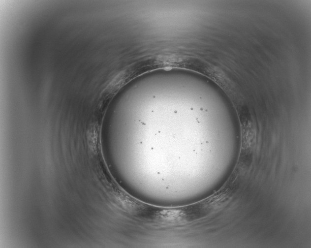 X0000057060427200509161457