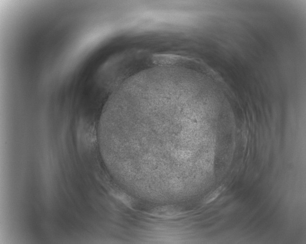 X0000057060431200509161456