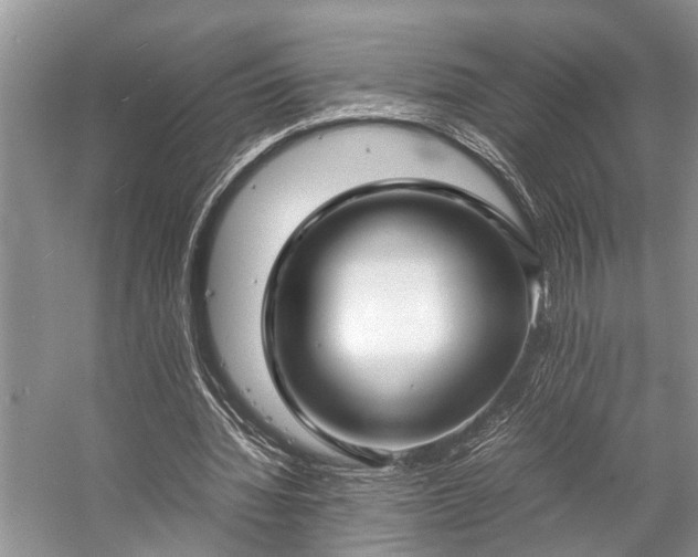 X0000057060436200509161456