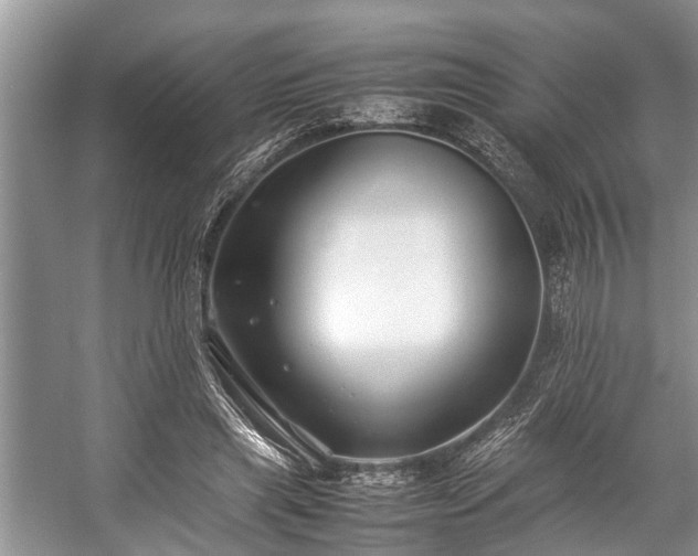 X0000057060445200509161456