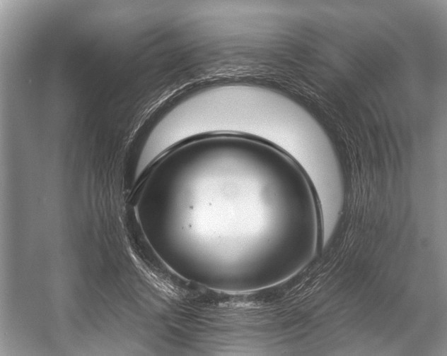 X0000057060448200509161456