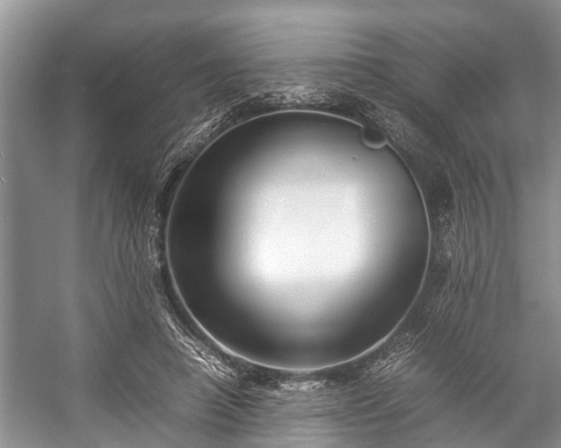 X0000057060450200509161456