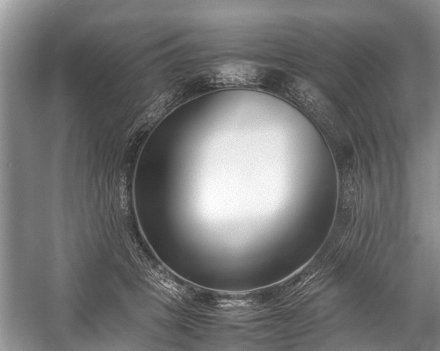 X0000057060457200509161456