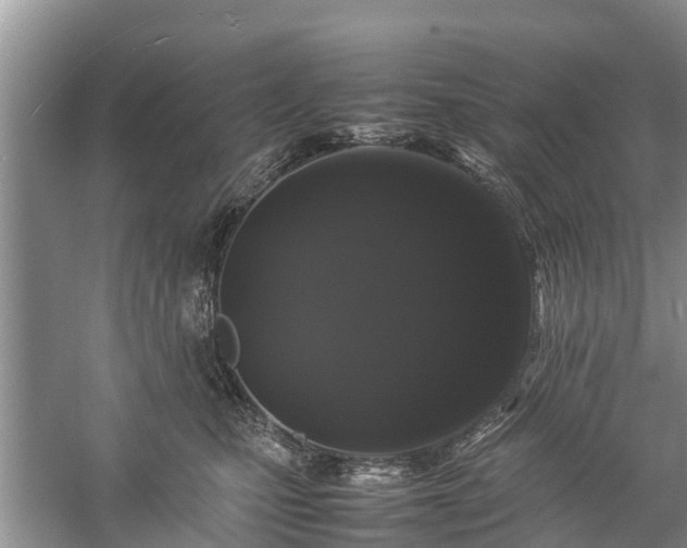 X0000057060471200509161456