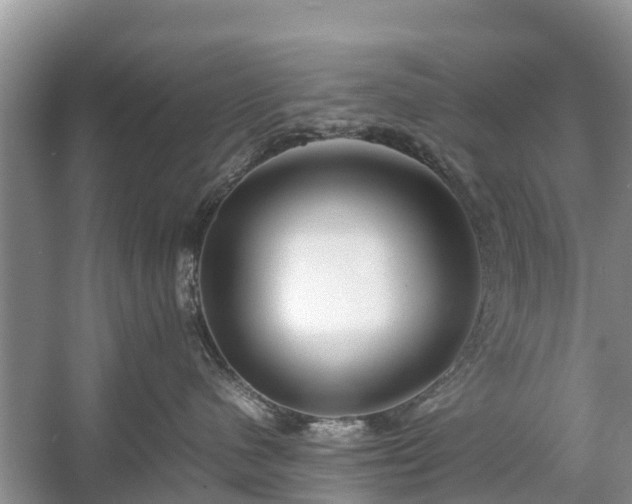 X0000057060480200509161456