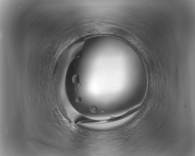 X0000057060481200509161456