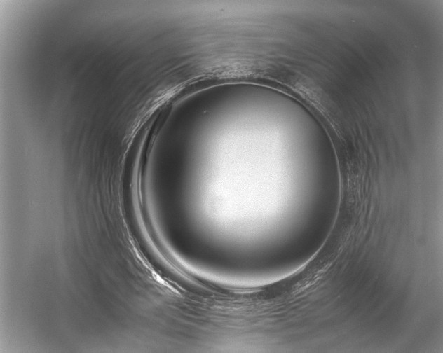 X0000057060485200509161456