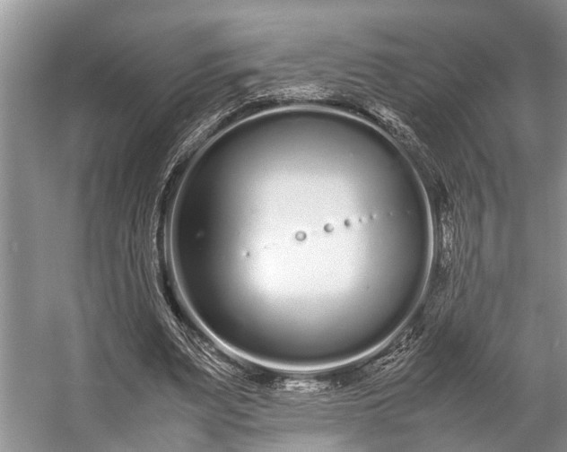 X0000057060487200509161455