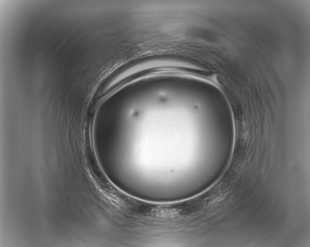 X0000057060491200509161455