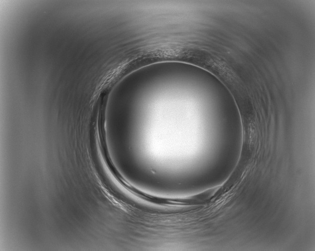 X0000057060493200509161455