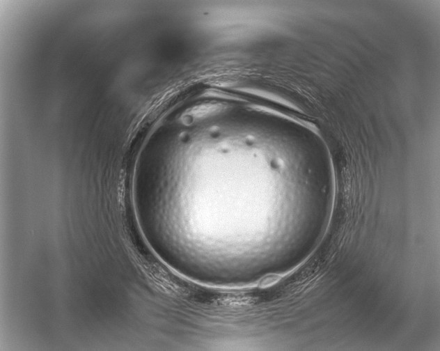 X0000057060495200509161455