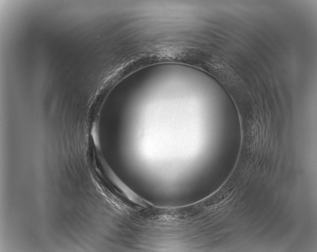 X0000057060496200509161455