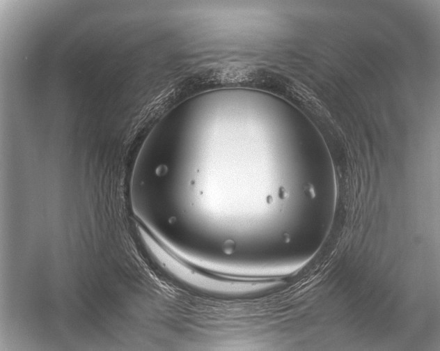 X0000057060497200509161455