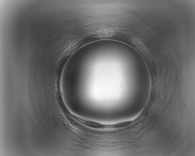 X0000057060501200509161455