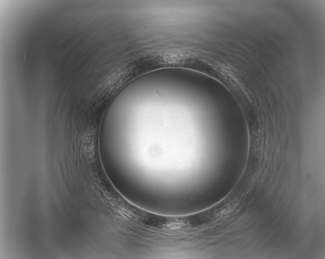 X0000057060505200509161455