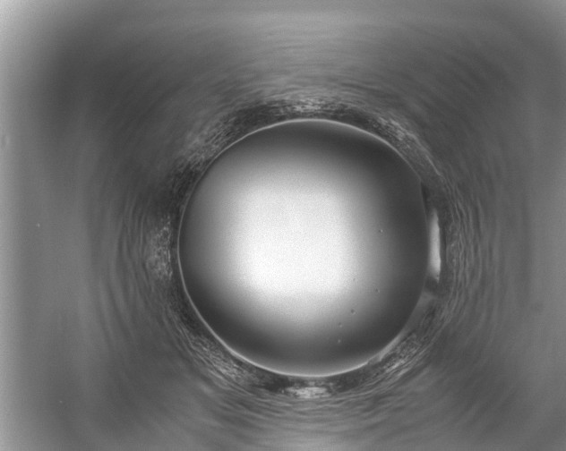 X0000057060509200509161455