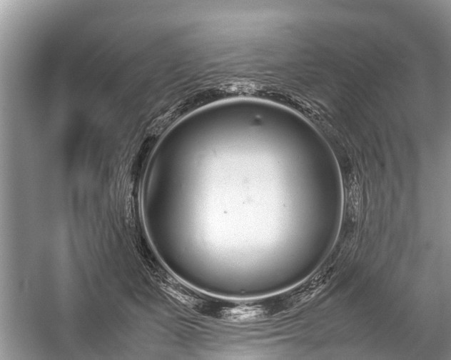 X0000057060511200509161455