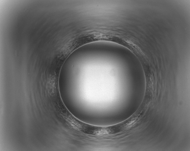 X0000057060513200509161455