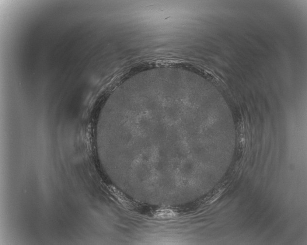 X0000057060519200509161455