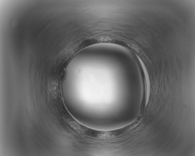 X0000057060521200509161455