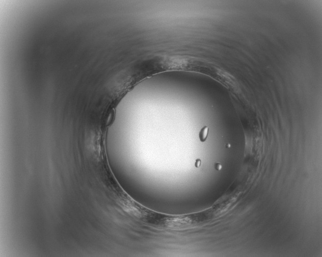 X0000057060525200509161455