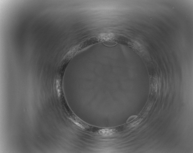 X0000057060526200509161455