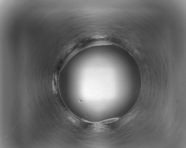 X0000057060528200509161455