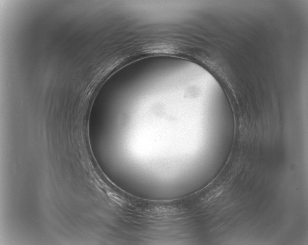 X0000057060529200509161454