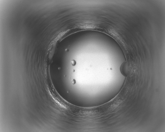 X0000057060533200509161454