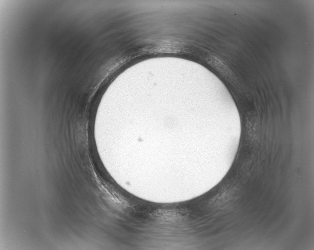 X0000057060534200509161454