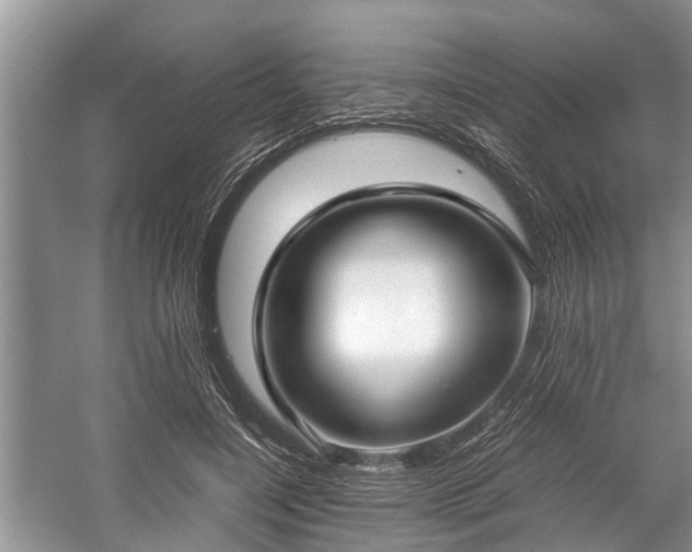 X0000057060548200509161454