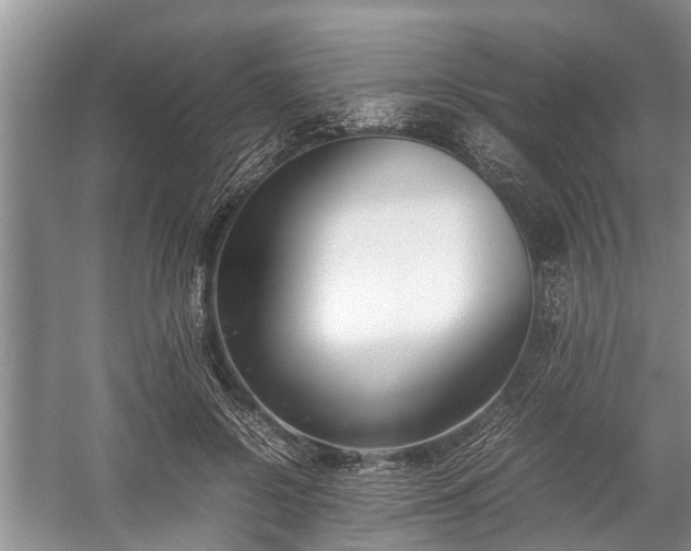 X0000057060550200509161454