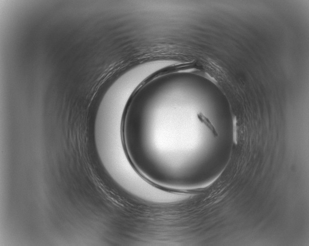 X0000057060552200509161454