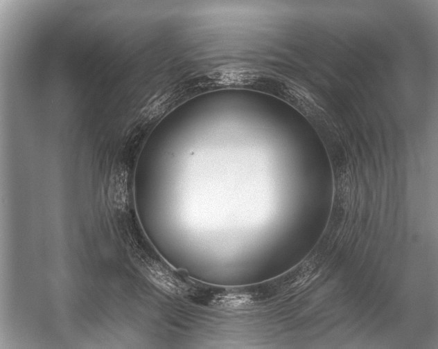 X0000057060554200509161454