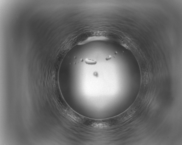 X0000057060557200509161454