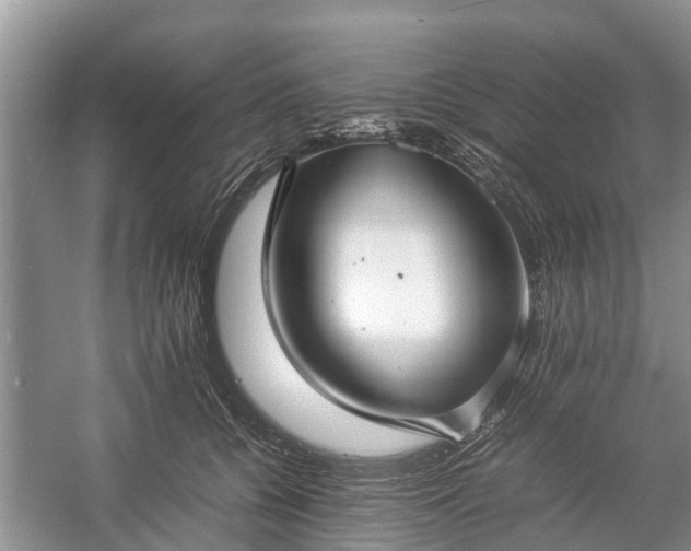 X0000057060560200509161455