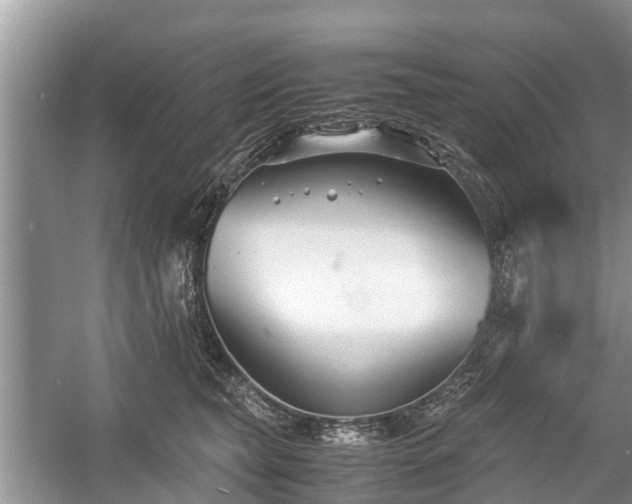 X0000057060565200509161455