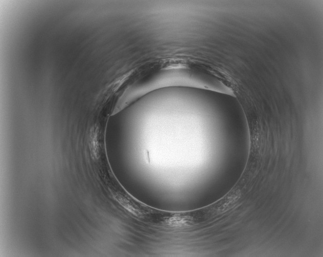 X0000057060566200509161455