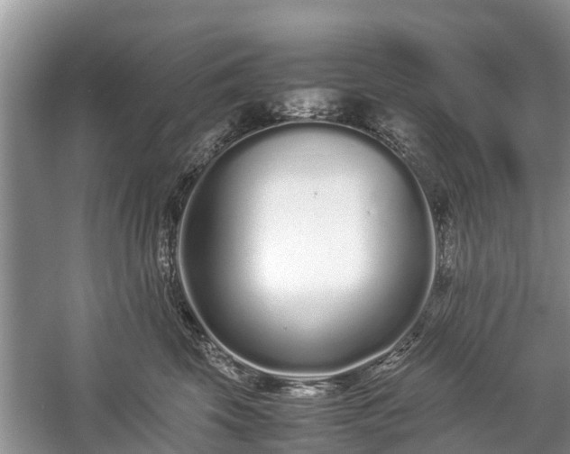 X0000057060569200509161455