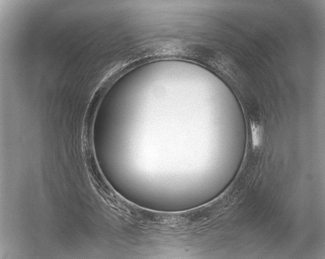 X0000057060579200509161454