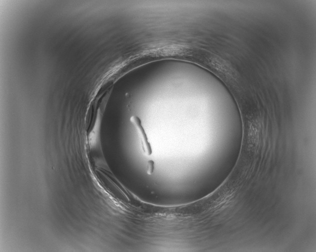 X0000057060582200509161454