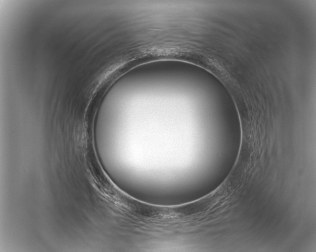 X0000057060583200509161454