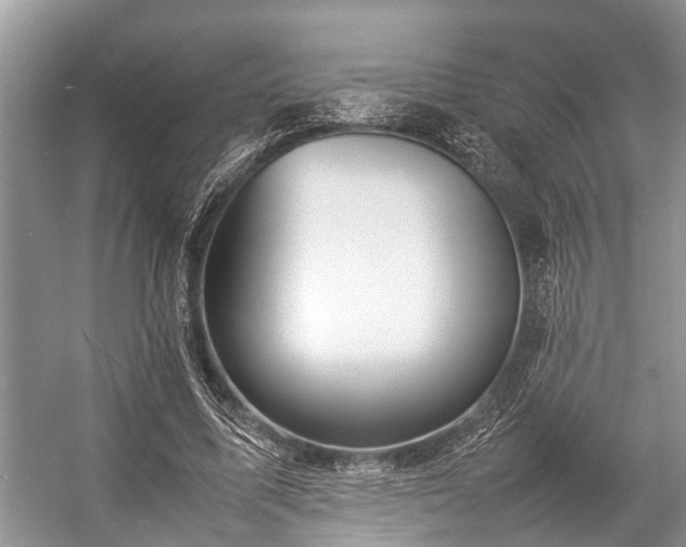 X0000057060587200509161454