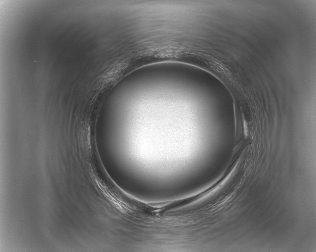 X0000057060589200509161454