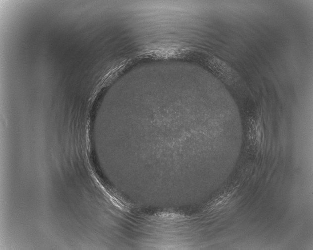 X0000057060590200509161454