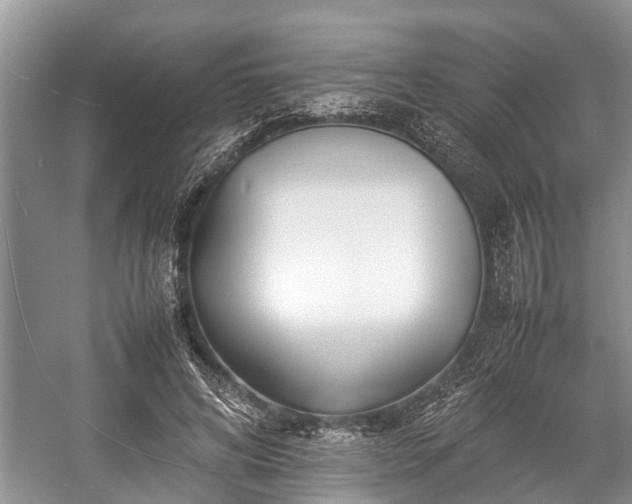 X0000057060592200509161454