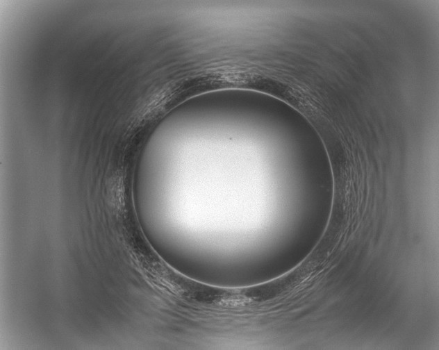 X0000057060595200509161454