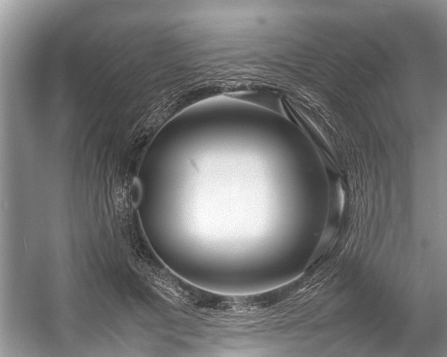 X0000057060601200509161454