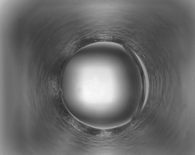 X0000057060609200509161453